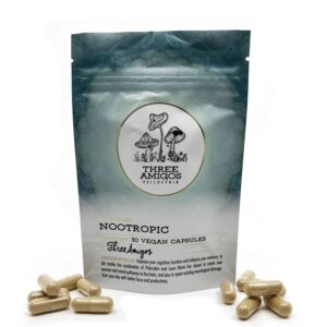 Nootropic Magic Mushroom: 100mg Capsules to Enhance Your Mind
