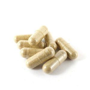 GOLDEN TEACHER CAPSULES